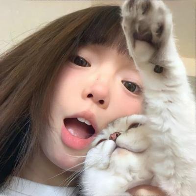 公主复仇者海报